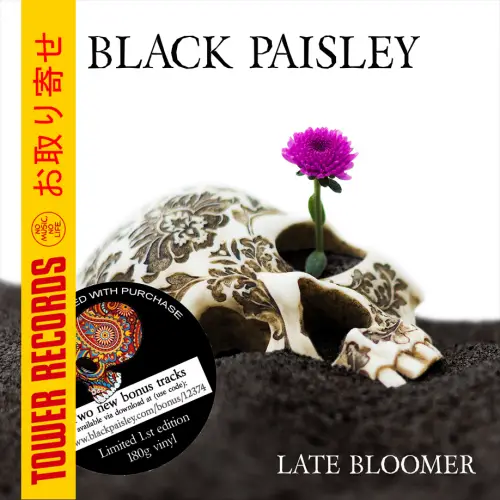 Black Paisley : Late Bloomer